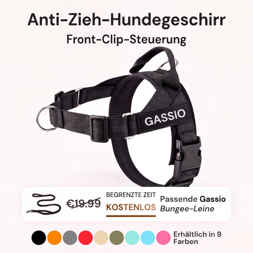 Gassio Antizug-Hundegeschirr