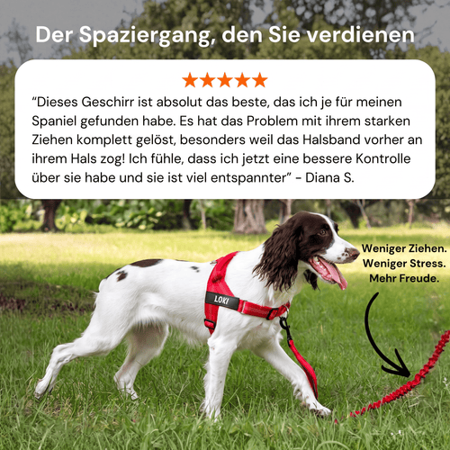 Gassio Antizug-Hundegeschirr