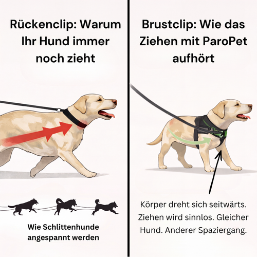 Gassio Antizug-Hundegeschirr