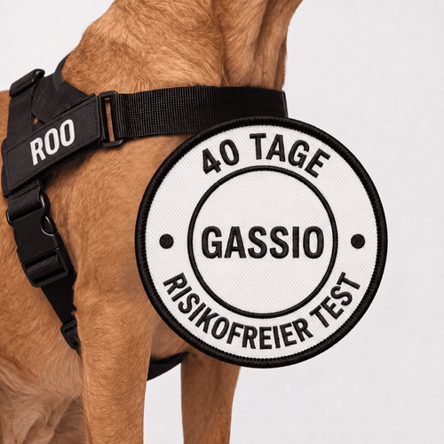 Gassio Antizug-Hundegeschirr